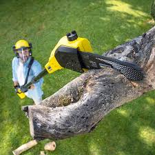 Trusted Bronson, MI Tree Removal and Landscaping Services Experts